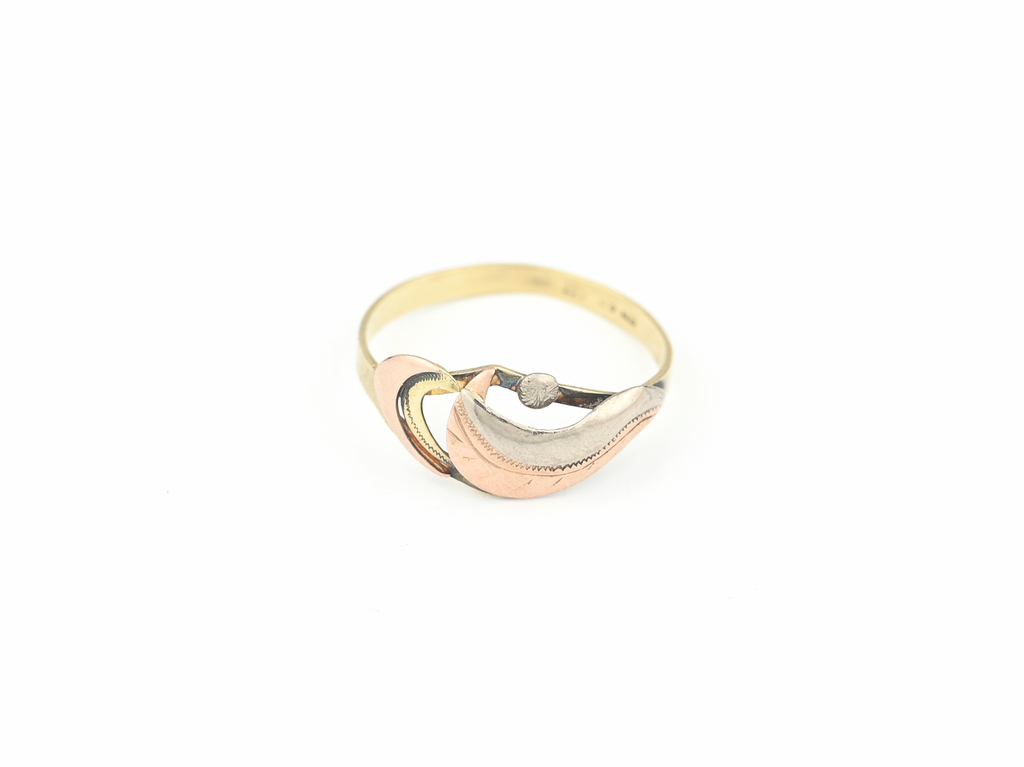 Prsten, kombinované zlato, zdobený.